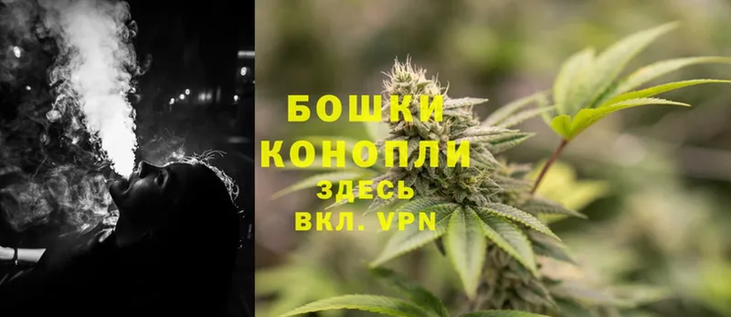 Бошки марихуана SATIVA & INDICA  даркнет сайт  mega ТОР  Лиски 